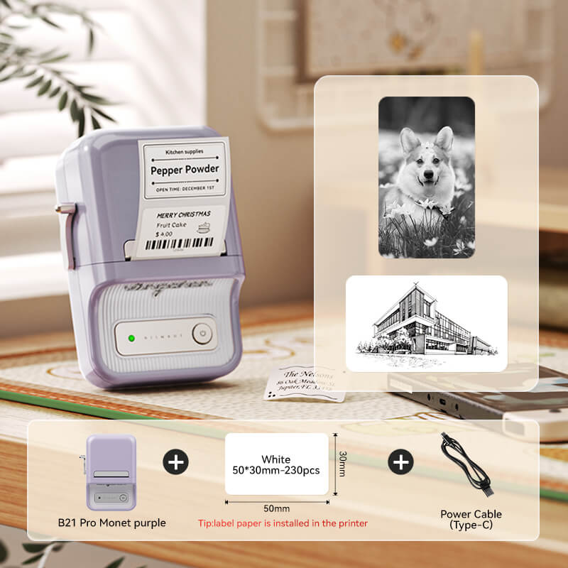 NIIMBOT B21 Pro All-in-One Label Maker — 2" 300DPI Bluetooth Printer for Home, Pantry & Small Business