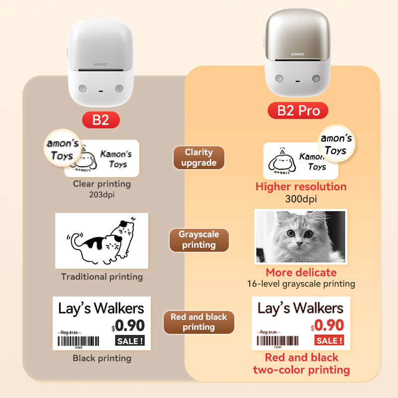 NIIMBOT B2 Label Maker, Thermal Label Printer, Portable Inkless Label Maker