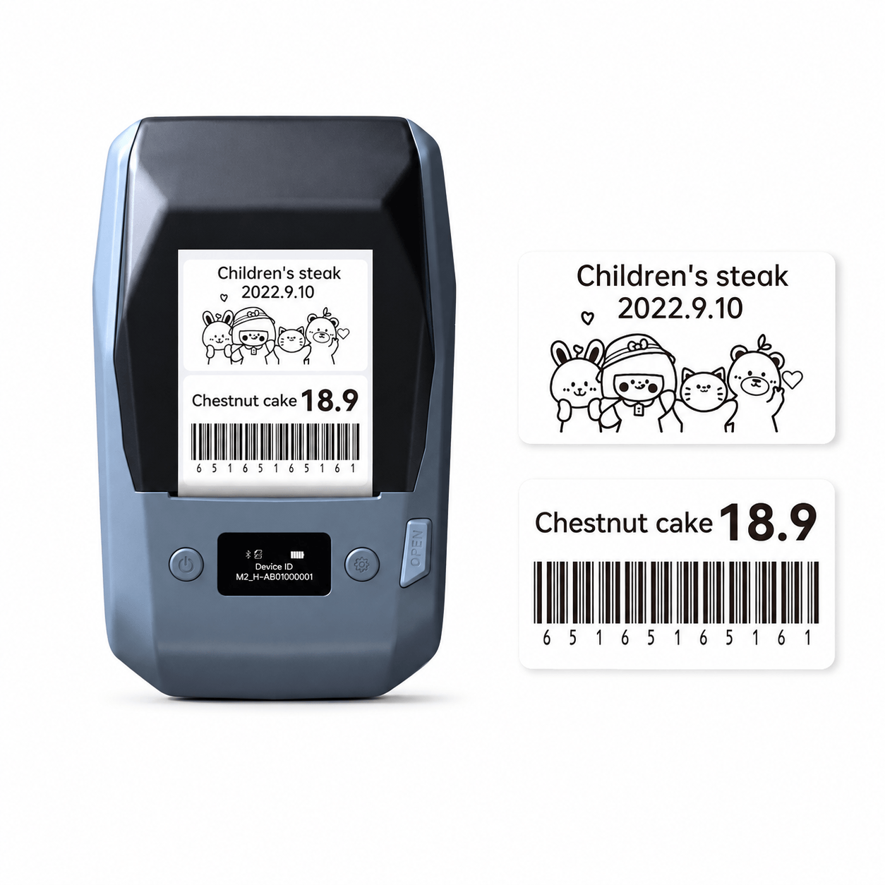 NIIMBOT M2 Thermal Transfer Label Printer with black ribbon and 50×30mm white labels