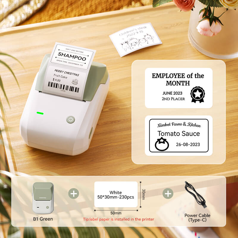 NIIMBOT B1 Green Multifunctional Mini Thermal Label Printer Package with Label Paper & Type-C Cable