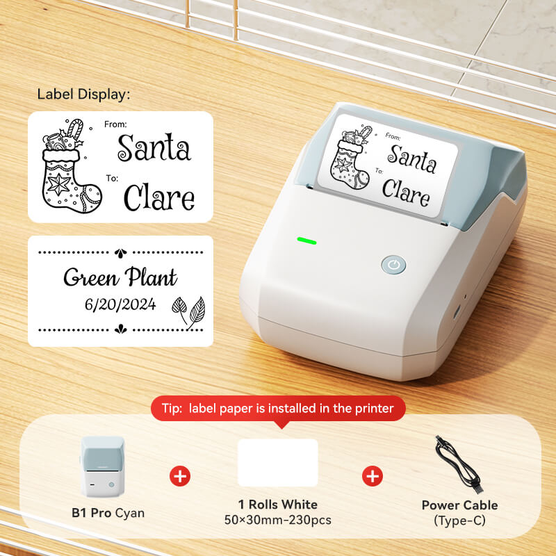 NIIMBOT B1 Pro Sky Blue label printer package accessories display with gift tag and plant label samples