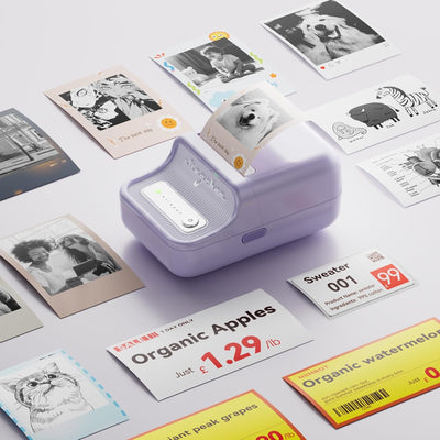 niimbot b21 pro label maker machine