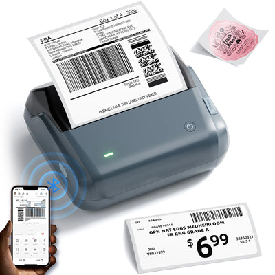 niimbot b4 inkless thermal label maker